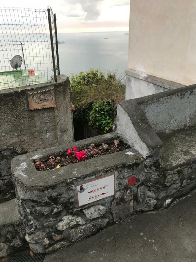 Maison Rosa Positano Buitenkant foto